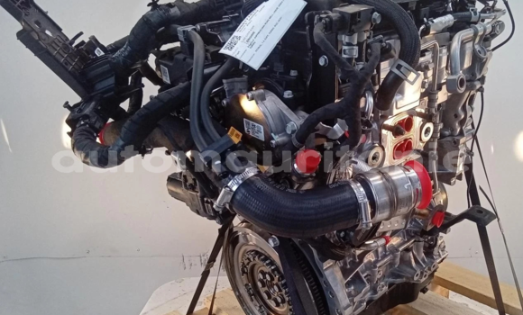 Acheter 2021 KIA SPORTAGE 1.6L à Nouakchott, Nouakchott Ouest Acheter 2021 KIA SPORTAGE 1.6L à Nouakchott, Nouakchott Ouest