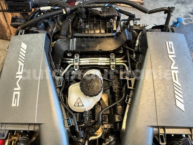 Big with watermark 7