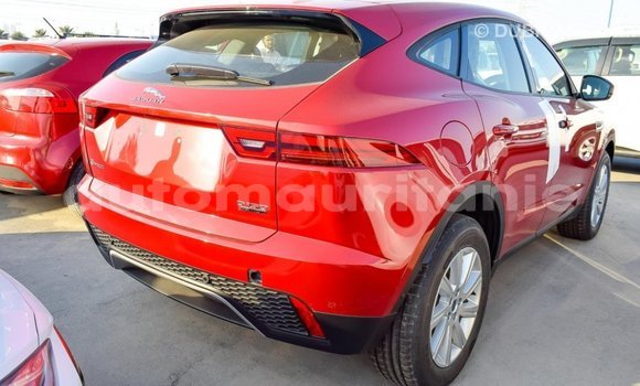 Acheter Import Voiture Jaguar E-Pace Rouge à Import - Dubai, Adrar Acheter Import Voiture Jaguar E-Pace Rouge à Import - Dubai, Adrar