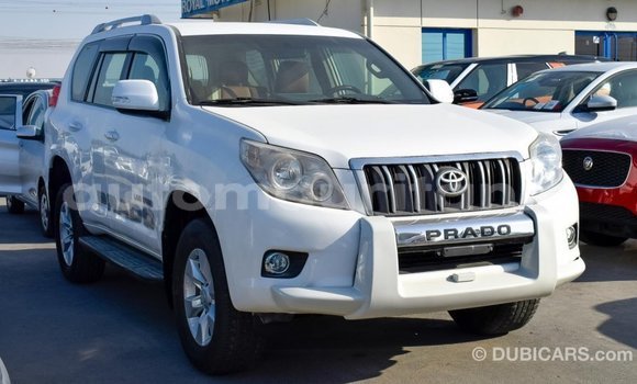 Acheter Import Voiture Toyota Prado Blanc à Import - Dubai, Adrar Acheter Import Voiture Toyota Prado Blanc à Import - Dubai, Adrar