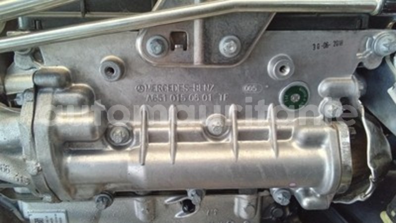 Big with watermark s l9603