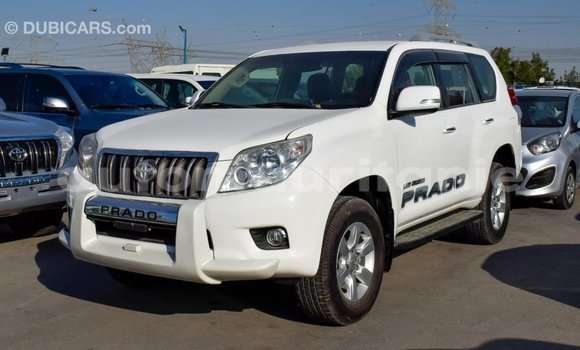 Acheter Import Voiture Toyota Prado Blanc à Import - Dubai, Adrar Acheter Import Voiture Toyota Prado Blanc à Import - Dubai, Adrar