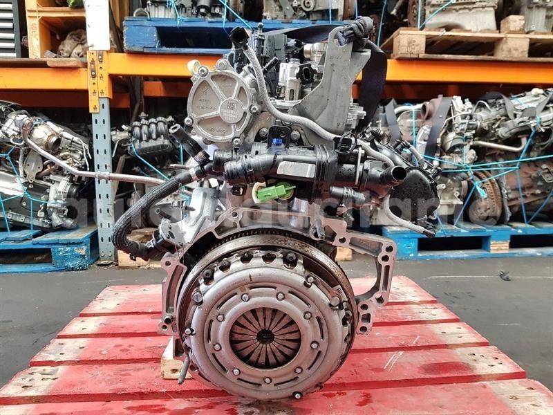 Big with watermark 2