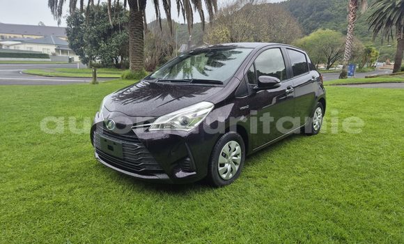 Buy Used Toyota Vitz Black Car in Nouakchott in West Nouakchott
