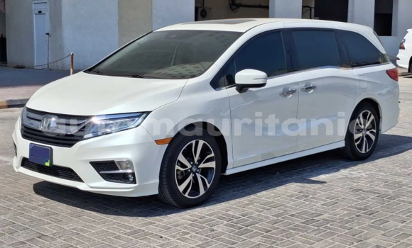 Buy Used Honda Odyssey White Car in Nouakchott in West Nouakchott