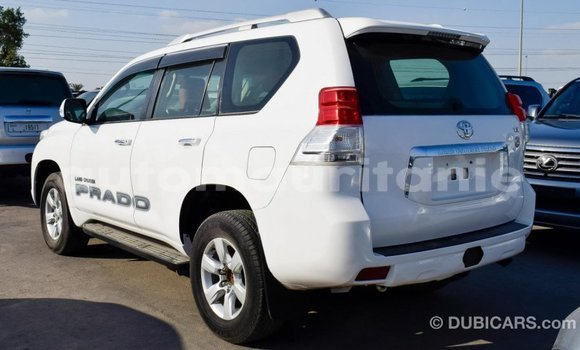 Acheter Import Voiture Toyota Prado Blanc à Import - Dubai, Adrar Acheter Import Voiture Toyota Prado Blanc à Import - Dubai, Adrar