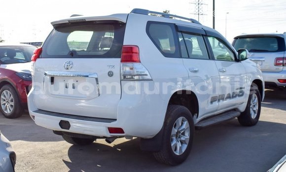 Acheter Import Voiture Toyota Prado Blanc à Import - Dubai, Adrar Acheter Import Voiture Toyota Prado Blanc à Import - Dubai, Adrar