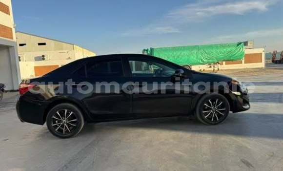 Acheter Occasion Voiture Toyota Corolla Autre à Alaq, Brakna