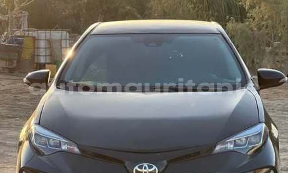 Acheter Occasion Voiture Toyota Corolla Autre à Akjoujt, Inchiri Acheter Occasion Voiture Toyota Corolla Autre à Akjoujt, Inchiri