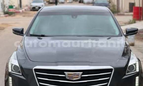 Acheter Occasion Voiture Cadillac CT6 Autre à an–Na'mah, Hudh-ash-Sharqi