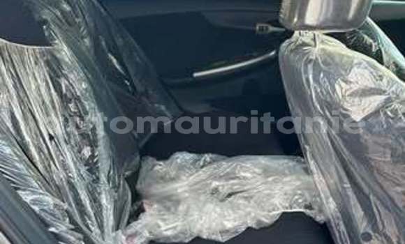 Acheter Occasion Voiture Toyota Corolla Autre à Aleg, Brakna Acheter Occasion Voiture Toyota Corolla Autre à Aleg, Brakna