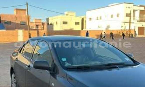 Acheter Occasion Voiture Toyota Corolla Autre à Aleg, Brakna Acheter Occasion Voiture Toyota Corolla Autre à Aleg, Brakna