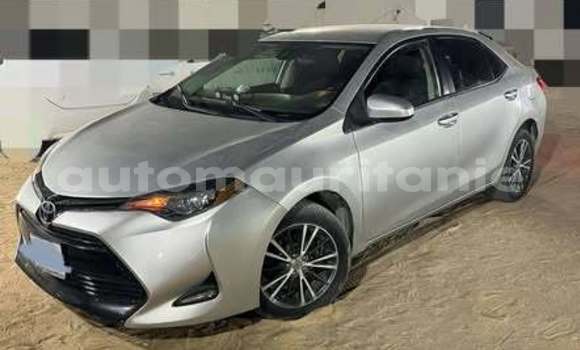 Acheter Occasion Voiture Toyota Corolla Autre à Adel Bagrou, Hodh ech Chargui Acheter Occasion Voiture Toyota Corolla Autre à Adel Bagrou, Hodh ech Chargui