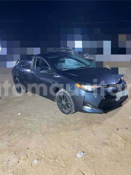 Big with watermark toyota corolla assaba hamoud 5002