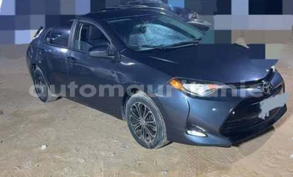 Acheter Occasion Voiture Toyota Corolla Autre à Hamoud, Assaba Acheter Occasion Voiture Toyota Corolla Autre à Hamoud, Assaba