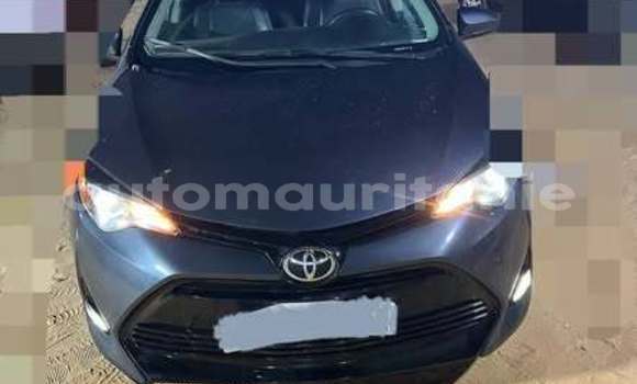 Acheter Occasion Voiture Toyota Corolla Autre à Hamoud, Assaba Acheter Occasion Voiture Toyota Corolla Autre à Hamoud, Assaba