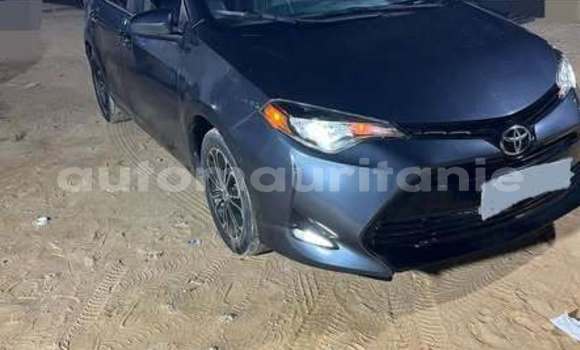 Acheter Occasion Voiture Toyota Corolla Autre à Hamoud, Assaba Acheter Occasion Voiture Toyota Corolla Autre à Hamoud, Assaba