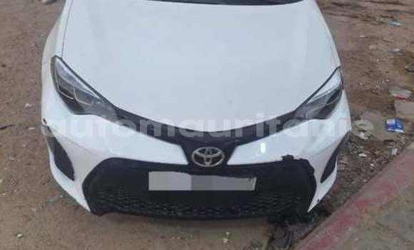 Acheter Occasion Voiture Toyota Corolla Autre à an–Na'mah, Hudh-ash-Sharqi