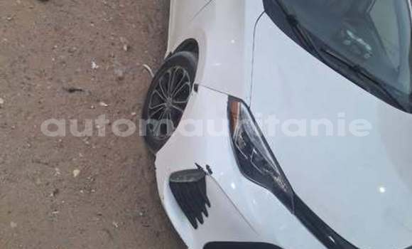 Acheter Occasion Voiture Toyota Corolla Autre à Akjoujt, Inchiri Acheter Occasion Voiture Toyota Corolla Autre à Akjoujt, Inchiri