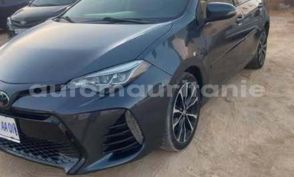 Acheter Occasion Voiture Toyota Corolla Autre à Alaq, Brakna Acheter Occasion Voiture Toyota Corolla Autre à Alaq, Brakna