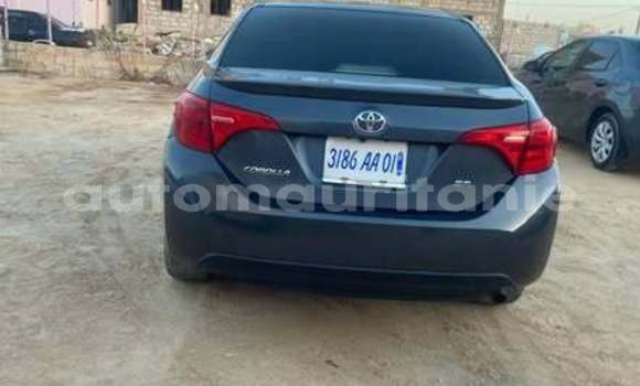 Acheter Occasion Voiture Toyota Corolla Autre à Alaq, Brakna Acheter Occasion Voiture Toyota Corolla Autre à Alaq, Brakna