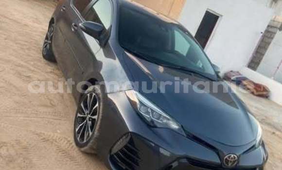 Acheter Occasion Voiture Toyota Corolla Autre à Alaq, Brakna Acheter Occasion Voiture Toyota Corolla Autre à Alaq, Brakna