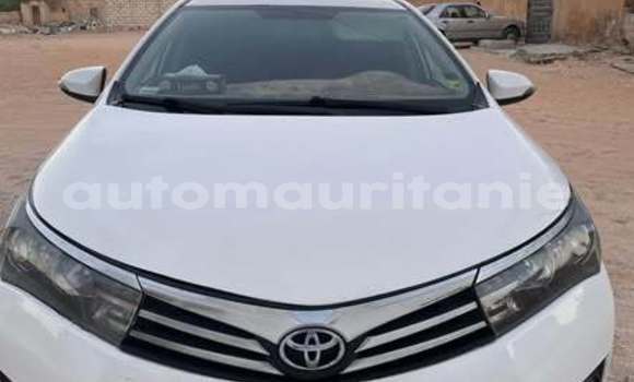 Acheter Occasion Voiture Toyota Corolla Autre à Aleg, Brakna Acheter Occasion Voiture Toyota Corolla Autre à Aleg, Brakna