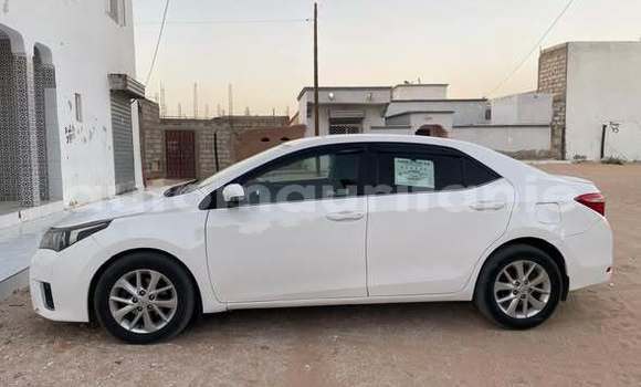 Acheter Occasion Voiture Toyota Corolla Autre à Aleg, Brakna Acheter Occasion Voiture Toyota Corolla Autre à Aleg, Brakna