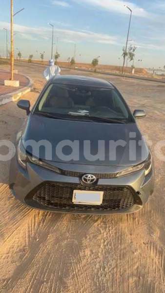 Big with watermark toyota corolla inchiri akjoujt 5018