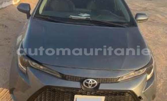 Acheter Occasion Voiture Toyota Corolla Autre à Akjoujt, Inchiri Acheter Occasion Voiture Toyota Corolla Autre à Akjoujt, Inchiri