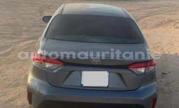 Acheter Occasion Voiture Toyota Corolla Autre à Akjoujt, Inchiri Acheter Occasion Voiture Toyota Corolla Autre à Akjoujt, Inchiri