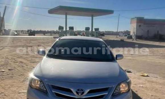 Acheter Occasion Voiture Toyota Corolla Autre à Akjoujt, Inchiri