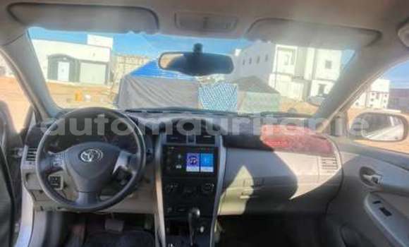 Acheter Occasion Voiture Toyota Corolla Autre à Akjoujt, Inchiri Acheter Occasion Voiture Toyota Corolla Autre à Akjoujt, Inchiri