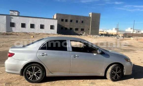 Acheter Occasion Voiture Toyota Corolla Autre à Akjoujt, Inchiri Acheter Occasion Voiture Toyota Corolla Autre à Akjoujt, Inchiri