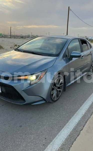 Big with watermark toyota corolla inchiri akjoujt 5026