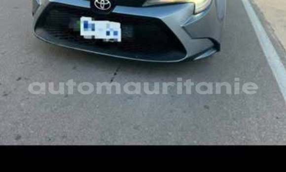 Acheter Occasion Voiture Toyota Corolla Autre à Akjoujt, Inchiri Acheter Occasion Voiture Toyota Corolla Autre à Akjoujt, Inchiri