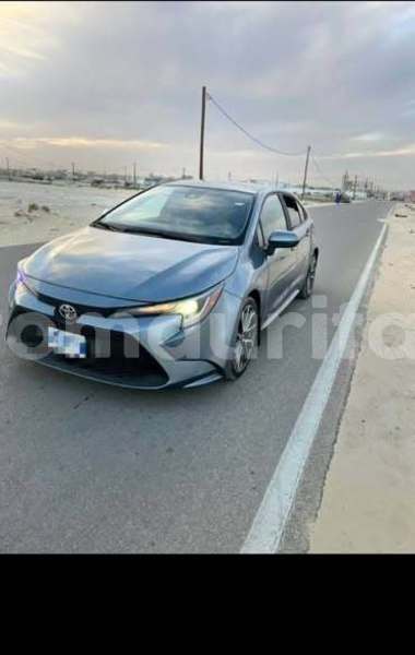 Big with watermark toyota corolla inchiri akjoujt 5026