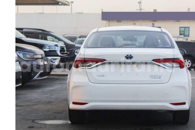 Big with watermark toyota corolla wilaya du trarza arafat 5041