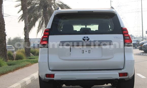 Buy Used Toyota Land Cruiser Prado White Car in Arafat in Wilaya of Trarza Buy Used Toyota Land Cruiser Prado White Car in Arafat in Wilaya of Trarza