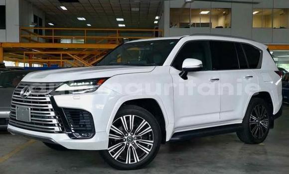 Acheter Occasion Voiture Lexus LX Blanc à Nouakchott, Nouakchott Ouest