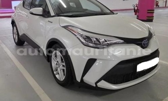 Acheter Occasion Voiture Toyota C-HR Blanc à Arafat, Wilaya du Trarza