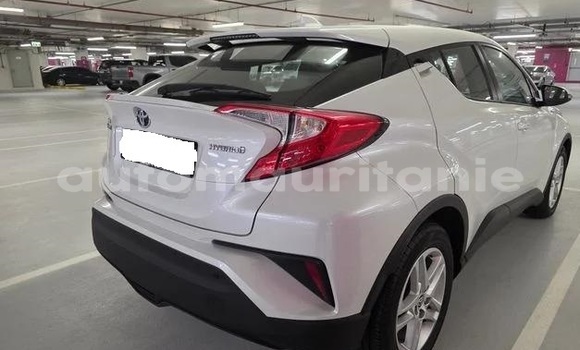 Buy Used Toyota C-HR White Car in Arafat in Wilaya of Trarza Buy Used Toyota C-HR White Car in Arafat in Wilaya of Trarza