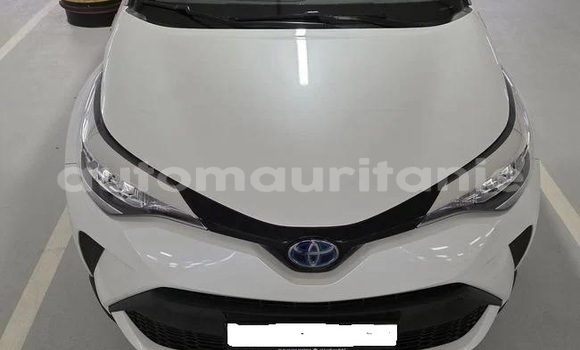 Buy Used Toyota C-HR White Car in Arafat in Wilaya of Trarza Buy Used Toyota C-HR White Car in Arafat in Wilaya of Trarza