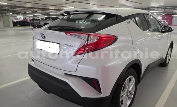 Buy Used Toyota C-HR White Car in Arafat in Wilaya of Trarza Buy Used Toyota C-HR White Car in Arafat in Wilaya of Trarza