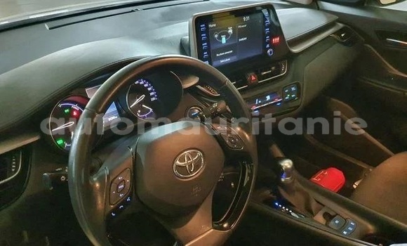 Buy Used Toyota C-HR White Car in Arafat in Wilaya of Trarza Buy Used Toyota C-HR White Car in Arafat in Wilaya of Trarza