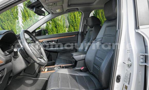 Buy Used Honda CR–V White Car in Arafat in Wilaya of Trarza Buy Used Honda CR–V White Car in Arafat in Wilaya of Trarza