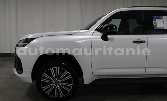 Buy Used Lexus LX White Car in Bareina in Tagant Buy Used Lexus LX White Car in Bareina in Tagant