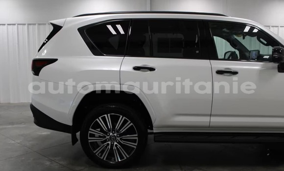 Buy Used Lexus LX White Car in Bareina in Tagant Buy Used Lexus LX White Car in Bareina in Tagant