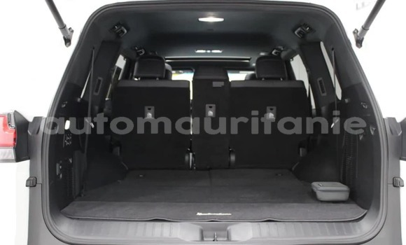 Buy Used Lexus LX White Car in Bareina in Tagant Buy Used Lexus LX White Car in Bareina in Tagant