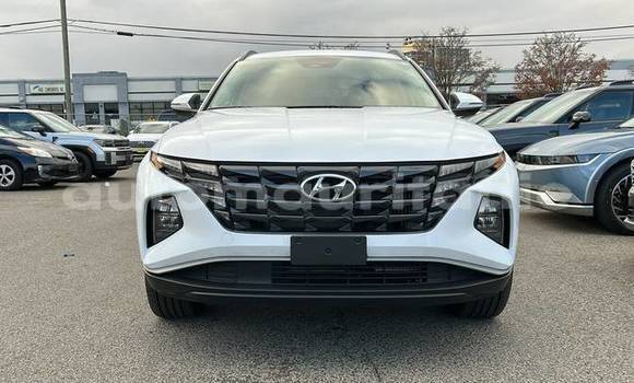 Buy Used Hyundai Tucson White Car in Arafat in Wilaya of Trarza Buy Used Hyundai Tucson White Car in Arafat in Wilaya of Trarza